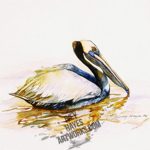 Pelican