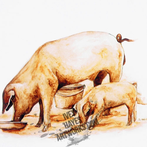 Hogs