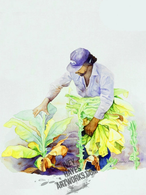 Tobacco Cropper I