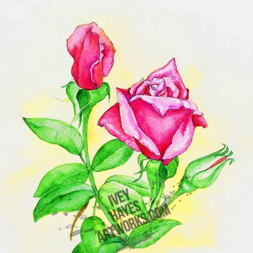 Roses