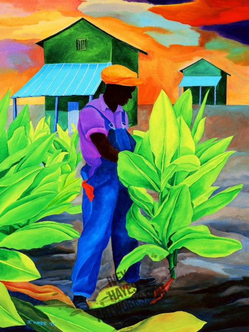 Tobacco Cropper II