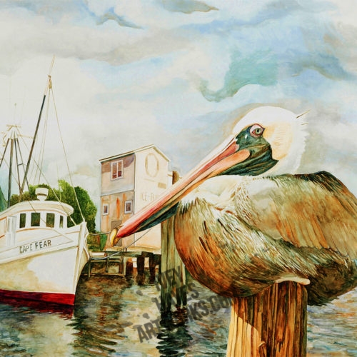 Southport Pelican