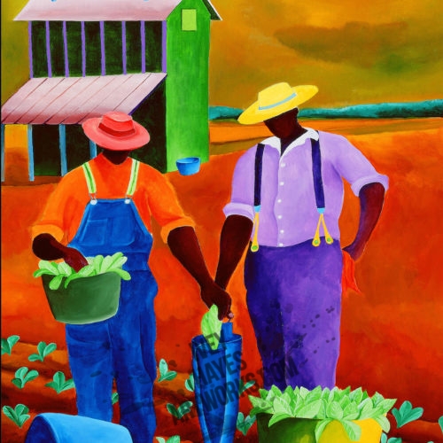 Hand Setting Tobacco