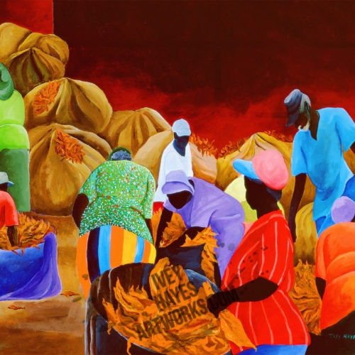 Tobacco for Market