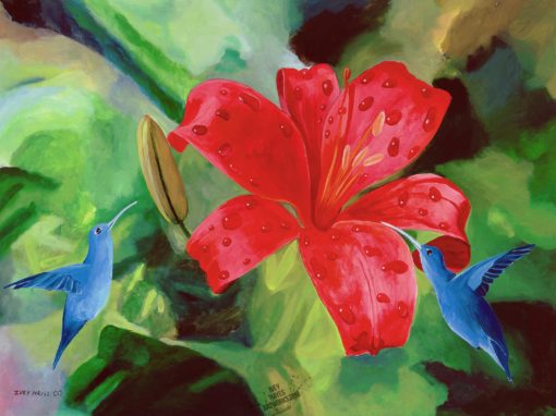 Red Daylilly