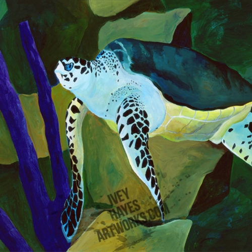 Loggerhead