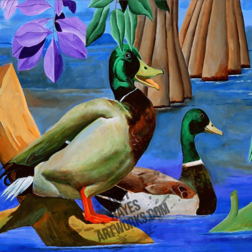 Mallard Ducks