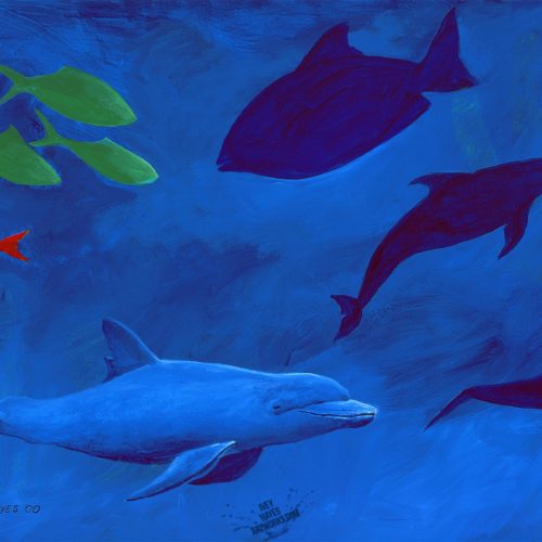 Dolphins with Flat Shapes