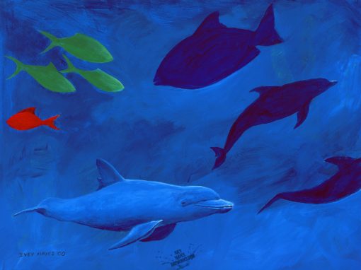 Dolphins with Flat Shapes