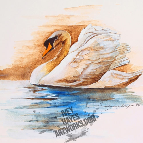 Swan