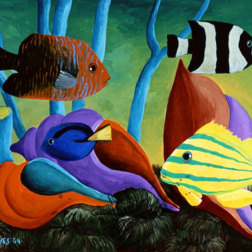 Fish and Shells
