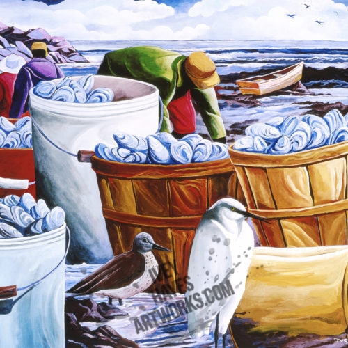 Oyster Harvest