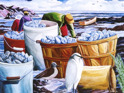 Oyster Harvest