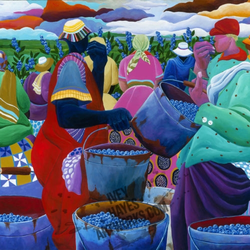 Blueberry Harvest