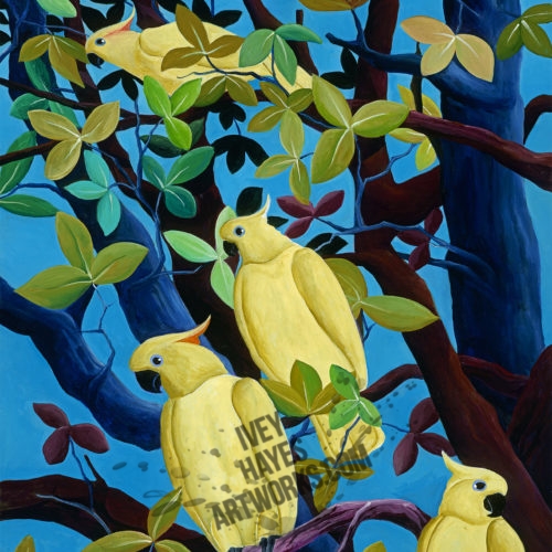 Yellow Cockatoos