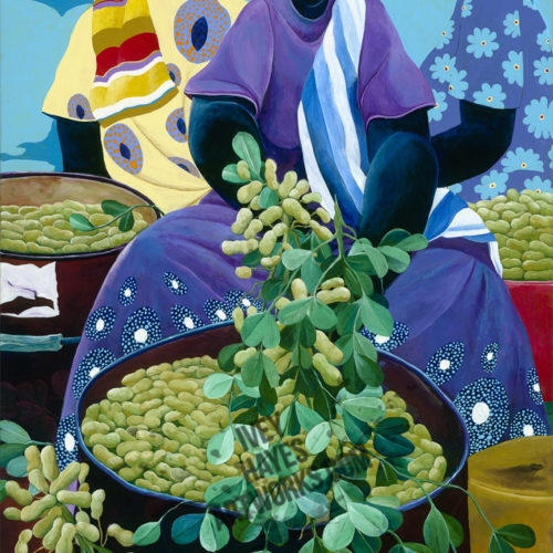 Peanut Harvest
